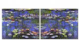 landscape Water Lilies set